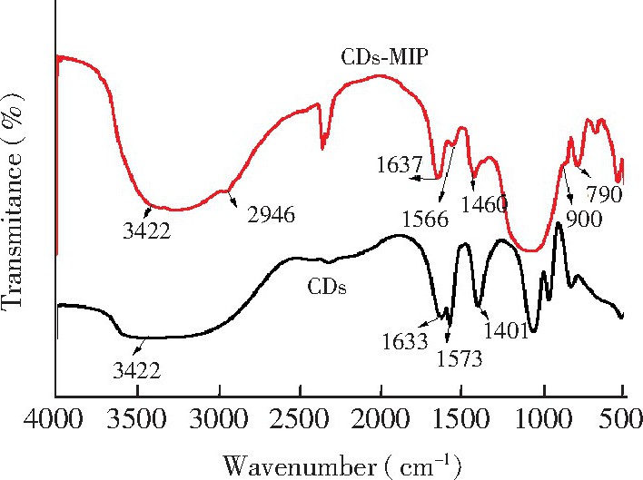 CDs@MIPCDsĺͼFig.3 Infrared (IR) spectra of CDs@MIP and CDs 